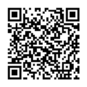 他要让自己的身体素质在开始集训之前就恢复如初二维码生成