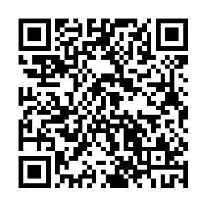 他要让落崆大人亲眼看着自己的族人一个一个的死去二维码生成