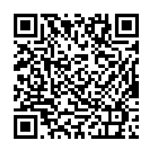 他要让这人做事情只要吩咐四个最早的追随仙人就可二维码生成