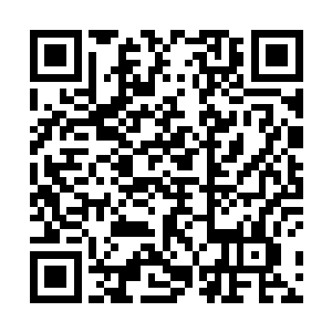他要验证一下邪神种子对火焰之力的压制能到何种程度二维码生成