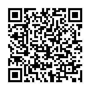 他覆盖在手上的金色真气正在一点点的被火焰吞噬二维码生成