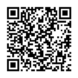 他见到的无角人大多是他还没有走近就已经跪趴下一片的卑微者二维码生成