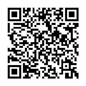 他见剑尘就要斩断缠绕在自己身上的幽冥鬼藤时二维码生成