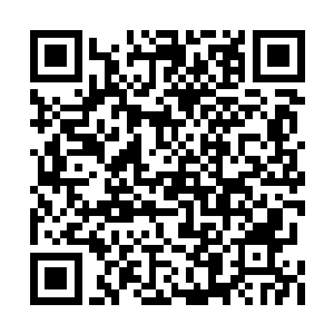 他觉得山之霜已经是这个世界最强大的机关魂甲二维码生成