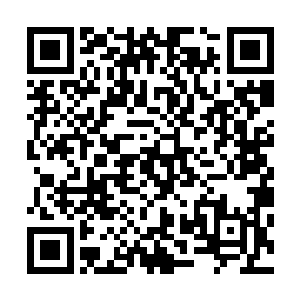 他觉得自己不会筋斗云和七十二变是再理所当然不过的事儿二维码生成