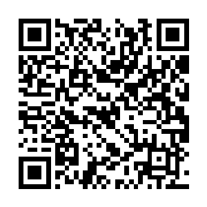 他觉得自己必须拿出一个能够证明自己沈凡的东西二维码生成