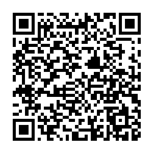 他觉得自己的队伍中缺少的就是这样一个…兵不厌诈的全能型军事人才二维码生成