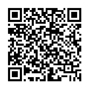 他觉得自己要见识一下真正的肉搏专家是什么样子才行二维码生成