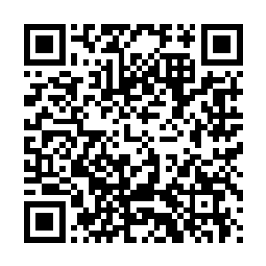 他觉得那浮虚子虽然肯定不会放过两个人引诱两只蛟龙的机会二维码生成