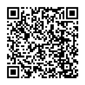 他觉着这白如玉来参加考核大比根本就不是奔着开门授徒资格牌来的二维码生成