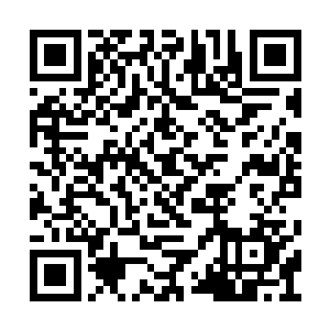他认为自己一秒钟之内就可以将那株石草采下来二维码生成