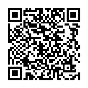 他认为荣光一定是听了他的经纪人黛玻菈的怂恿和蛊惑二维码生成