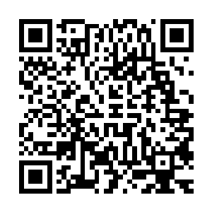 他认为这是杨锐行差错步的开始――拒绝理查德的实验室的邀请二维码生成