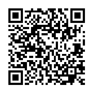 他讨厌这种连对拼能力都没有只能龟缩在塔下补塔刀的尴尬局面二维码生成