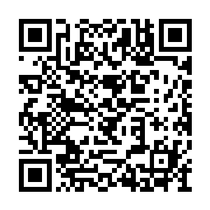 他让两个早就在旁边候着的丫头――一个叫小婵二维码生成