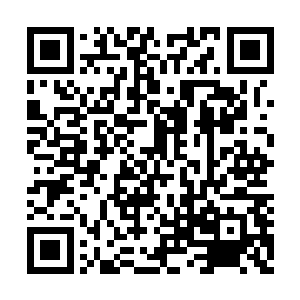 他记得他刚答应做她男朋友……而不是未婚夫吧二维码生成