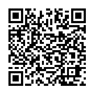 他记得非常清楚自己根本就没有签署过这样的文件啊二维码生成