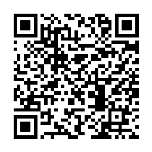 他试探性的对着那只懒洋洋趴在桌子上的三花猫叫道二维码生成