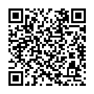 他说他的坟墓中设定了很多针对仙乐师的禁制阵法二维码生成