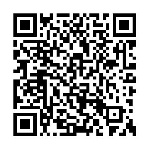 他说来的那个世界圣阶前面的修行道路已经断绝二维码生成