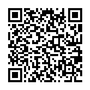 他说的堂口堂主正是五耀堂五个地位仅次于掌门万英豪的人二维码生成