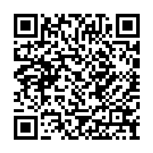 他说谁能帮他弄到那样东西就答应对方一个愿望二维码生成