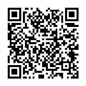 他说这玩意是喜马拉雅山地区独有的一个特殊物种二维码生成