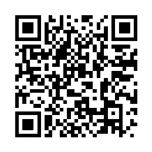 他说那些包装的纸盒都不用买成型的了二维码生成