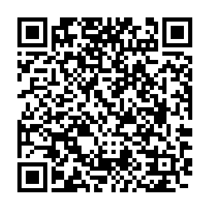 他请求霍奇森夫人帮助自己见到哈特曼先生的全权代表雷欢喜先生二维码生成