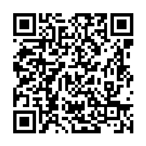 他走过来非盟观察团的团长加里纳森先生伸出了手二维码生成