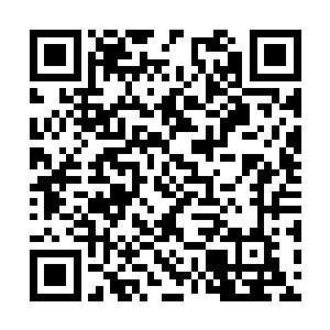 他跑到自己在海南买的一套小别墅里去闭门思过了二维码生成