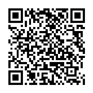 他跟陆蔓一个是父亲一个是母亲都不能配型成功二维码生成