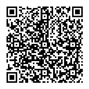 他跨域而來 瞬间出现在风清扬身旁 将他庇佑在身旁 在转身看向一边的风清扬 微微点头 不言而喻二维码生成