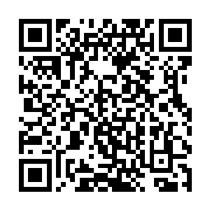 他跳过了自己在翻车一瞬间扑过去保护费芷柔的细节二维码生成