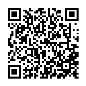 他身上必须感染有那种黑色能量时才能看到NPC的记忆二维码生成