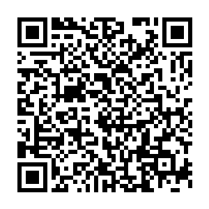 他身上的要素汲取系统虽然能将阴影王子的分身上的部分要素吸收二维码生成
