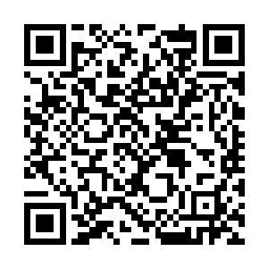 他身体周围那血红色的气息将两人的身体全都笼罩二维码生成