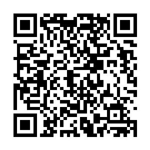 他身后打牌的几个佣兵在这个时候开始争执了起来二维码生成