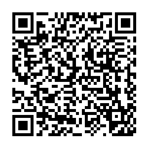 他身后的两个小弟也很是体贴的拿出手中的早先就已经准备好的水果二维码生成