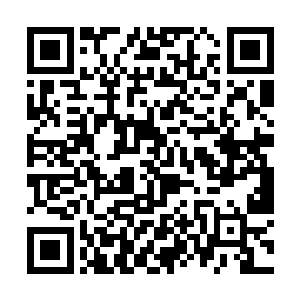 他身后的光明也是开始源源不断的流入他的身体之中二维码生成