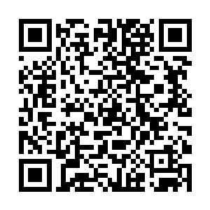 他身后的太乙玄门的一个年轻骑士一下子就跳了出来二维码生成