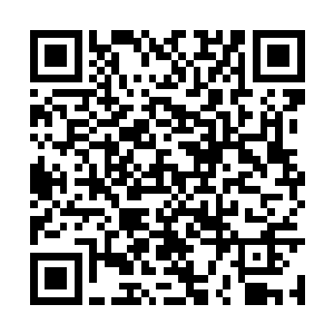 他身后的护卫就将那两名黑衣人麻利的提留回来了二维码生成
