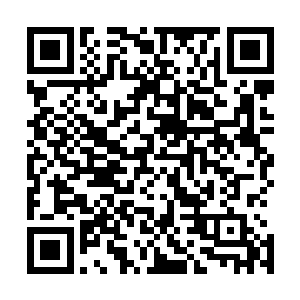 他身后看押着崔情儿和郑佩佩的齐家高手就把两人推了上来二维码生成