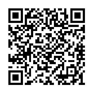 他身后跟着的太乙玄门的骑士们一个个也站住了二维码生成