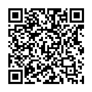 他身旁的几个拥有中位神灵实力的白熊看到这样的情形二维码生成