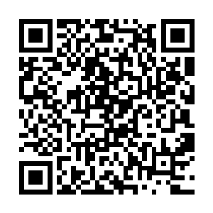 他身边一个穿着紫袍的年轻人就一脸倨傲的站了出来二维码生成