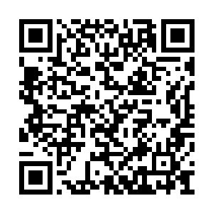 他身边同样站着数十个穿着奇装异服的彪形大汉二维码生成