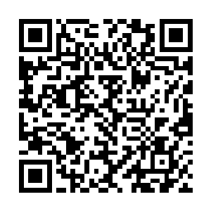 他身边的几名壮汉顿时如临大敌的把谭东东围了起来二维码生成