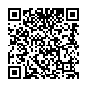 他身边的虚空中也忽然凭空伸出了一根根散发着琉璃宝光的树枝二维码生成