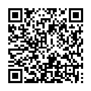 他还不太想为了一个苏婉得罪贤妃和大长公主殿下二维码生成